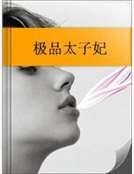 《極品太子妃》