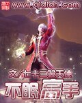 《不眠高手》