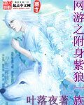 网游之附身紫狼一族
