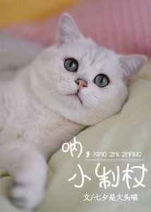 《吶,小制杖》