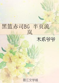 (黑篮同人)黑篮赤司BG 半页流岚