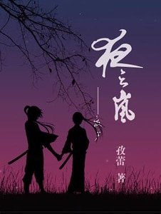 《夜之嵐》