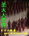 圣天大帝传