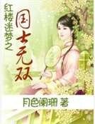 《紅樓迷夢之國士無雙》