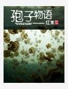 孢子物语