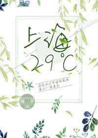 《上海29℃》