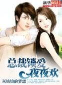 總裁鎖愛夜夜歡