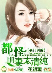 豪門糾纏:都怪前妻太清純