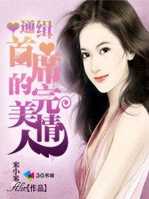 通缉：首席的完美情人