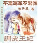 不是冤家不聚頭:調皮王妃