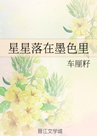 星星落在墨色裡