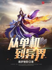 《從單機到異界》