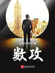 數公