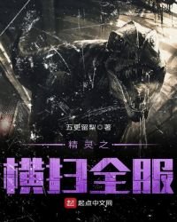 《精靈之橫掃全服》