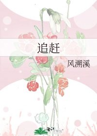 追赶