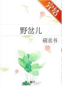 野岔儿