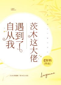 《自從我遇到了茨木這大佬》