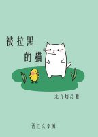 《被拉黑的貓》