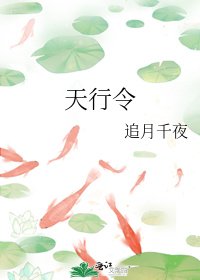 《天行令》