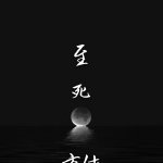 至死方休