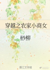 穿越之农家小商女