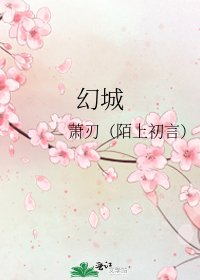 《幻城》