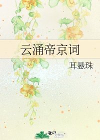 云涌帝京词