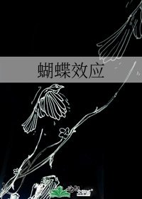 蝴蝶效应