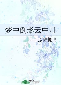 梦中倒影云中月