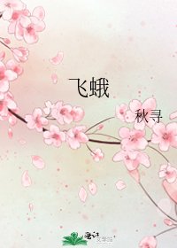 《飛蛾》