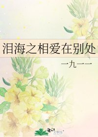 淚海之相愛在別處