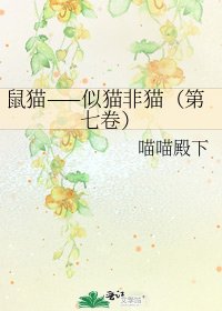 鼠猫——似猫非猫(第七卷)