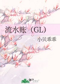 流水账(GL)
