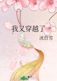 《我又穿越了》