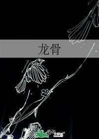 《龍骨》