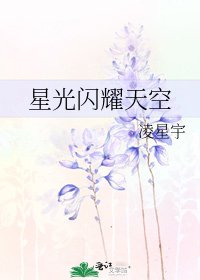 星光闪耀天空