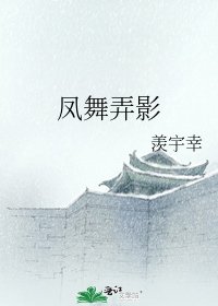 凤舞弄影