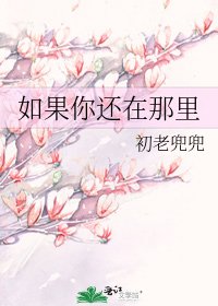 如果你还在那里