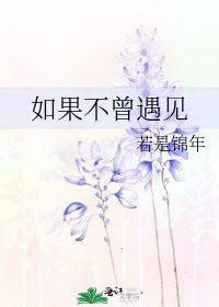 如果不曾遇见