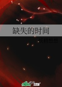 缺失的時間