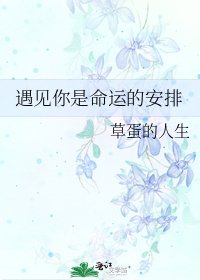 《遇見你是命運的安排》