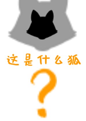 《宫双子过分美丽但实在幼稚》