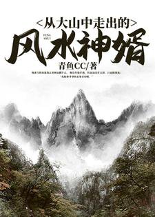 从大山中走出的风沦神婿