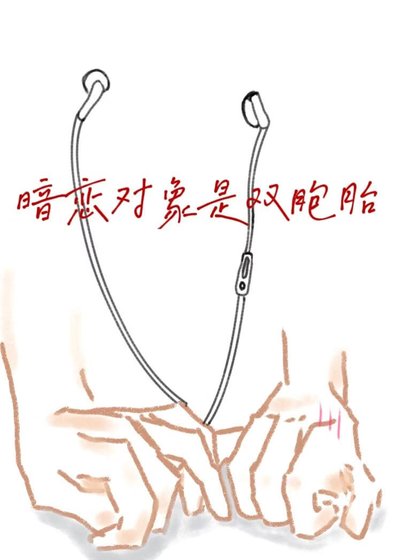 暗戀物件是雙胞胎