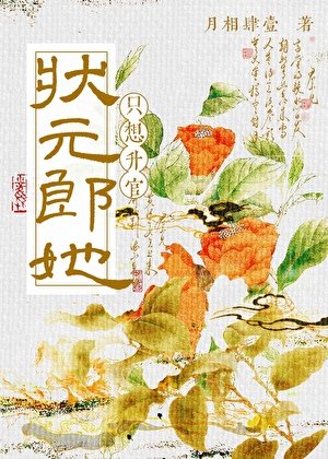 狀元郎她只想升官