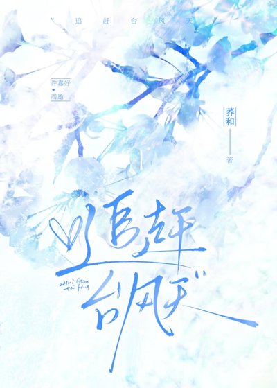 《追趕颱風天》