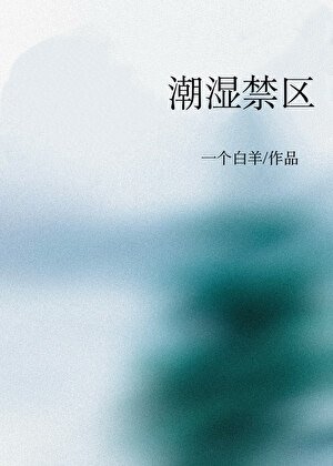 《潮溼禁區》