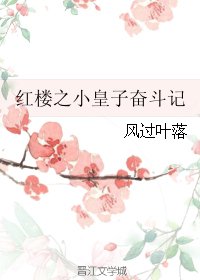 (BG/红楼同人)红楼之小皇子奋斗记