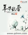 《年華亂晉》