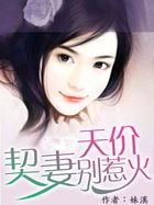 天價契妻別惹火
